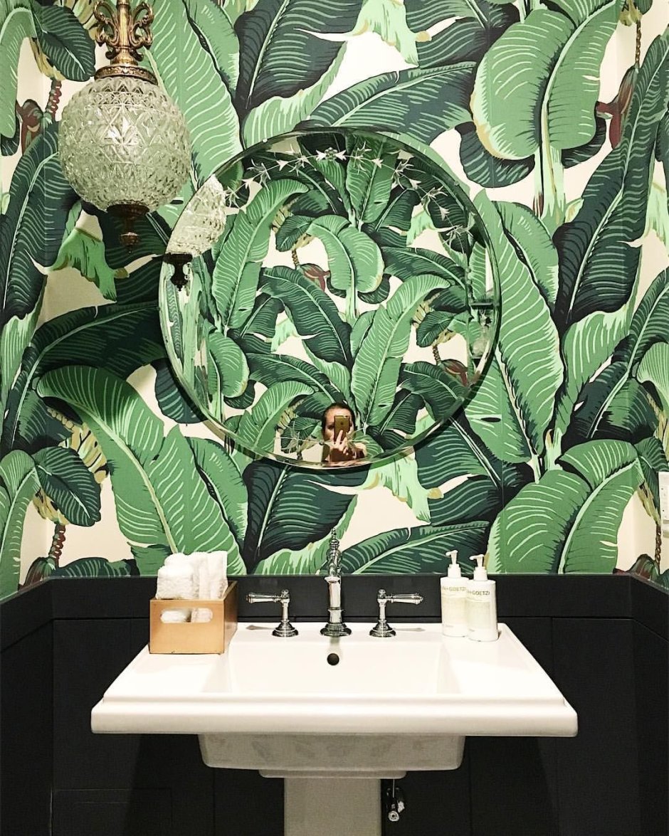 Озеленение ванной комнаты