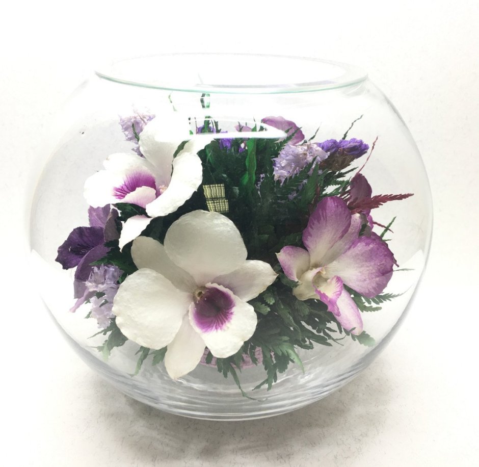 Орхидеи в вакууме Фиора