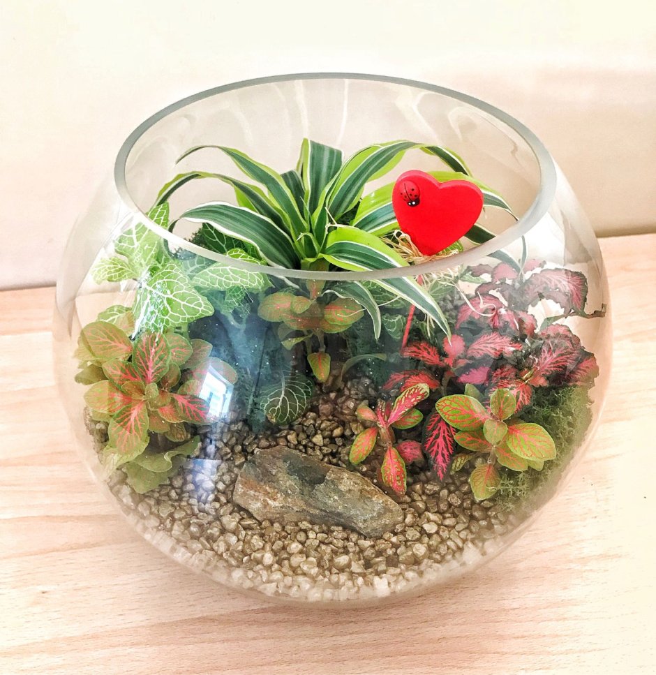 Флорариум гравитариум