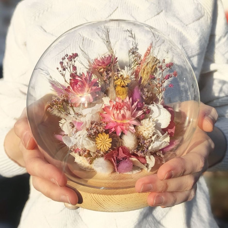 Лотос сухоцвет