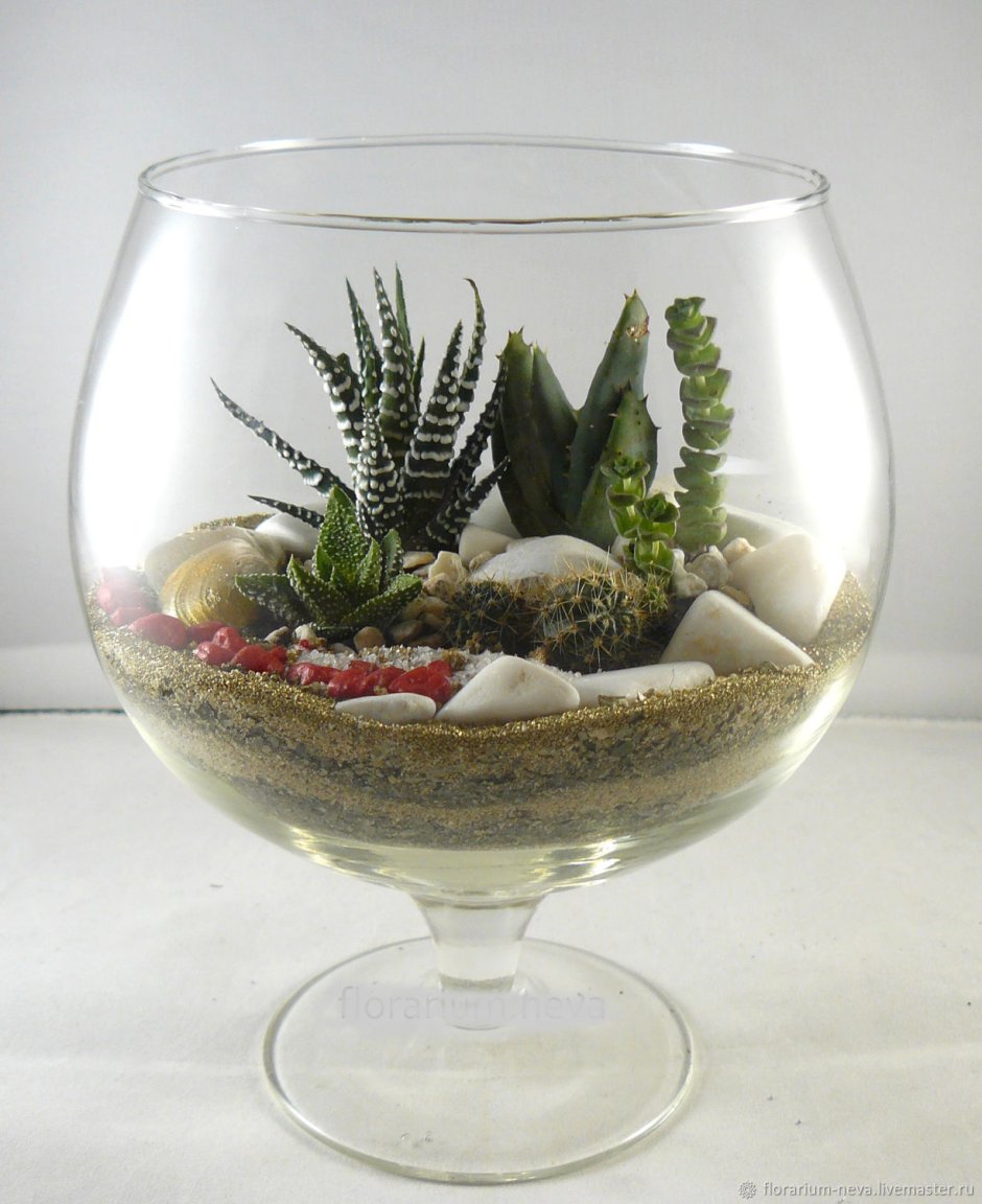 Флорариум гравитариум