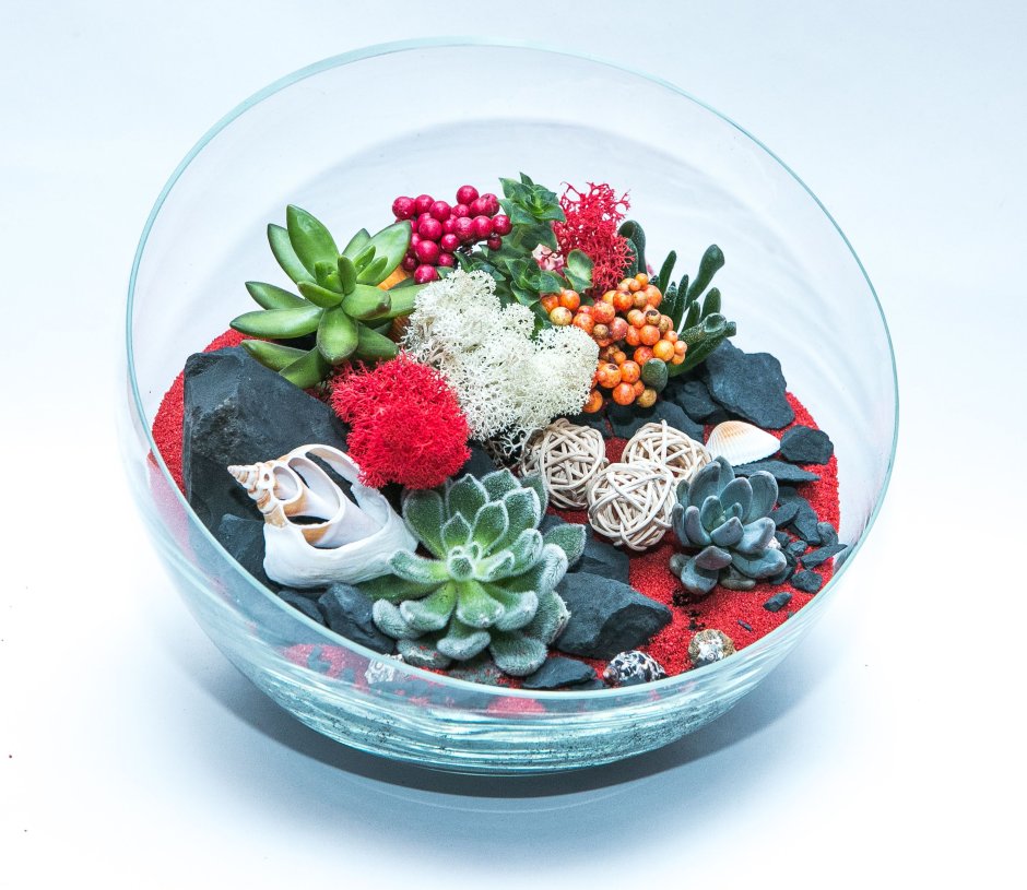 Суккуленты во флорариуме