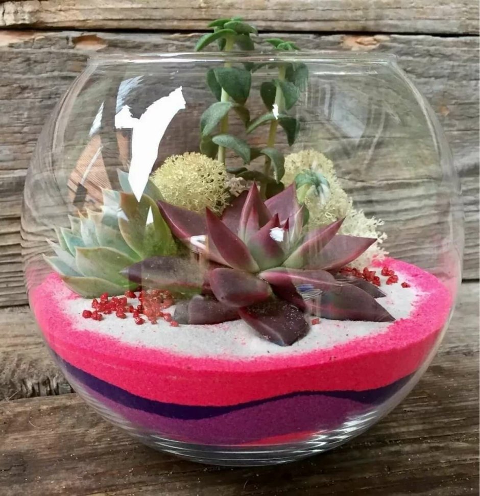 Флорариум с крассулой