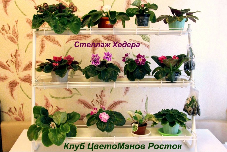 Полочки для цветов на подоконник