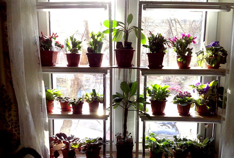 Стеллаж для рассады 620*260*910