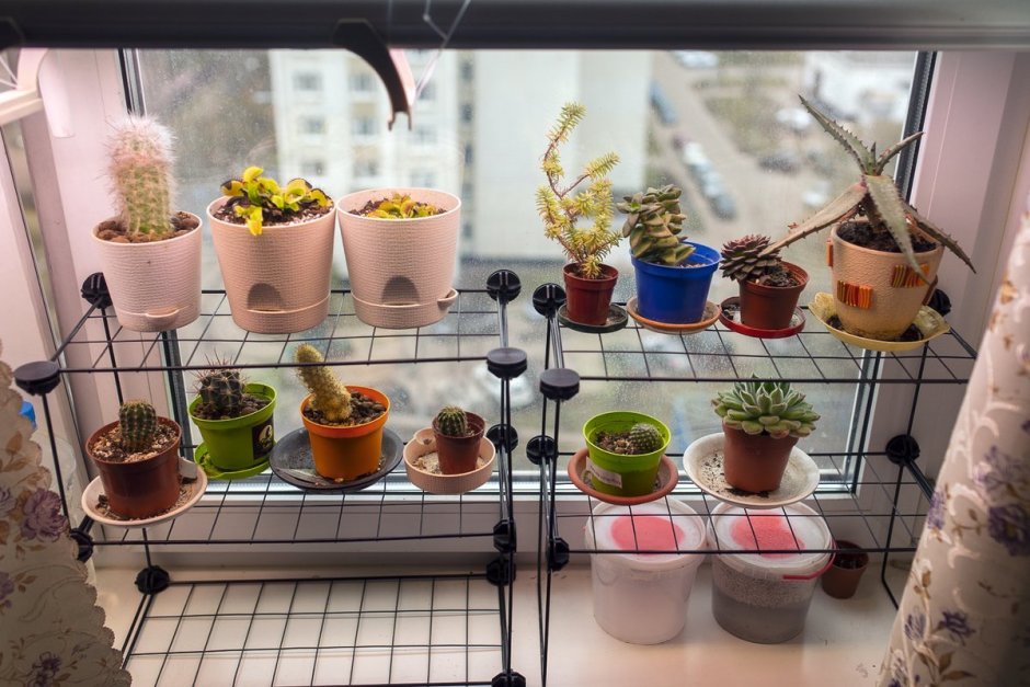 Стеллаж для суккулентов на подоконник