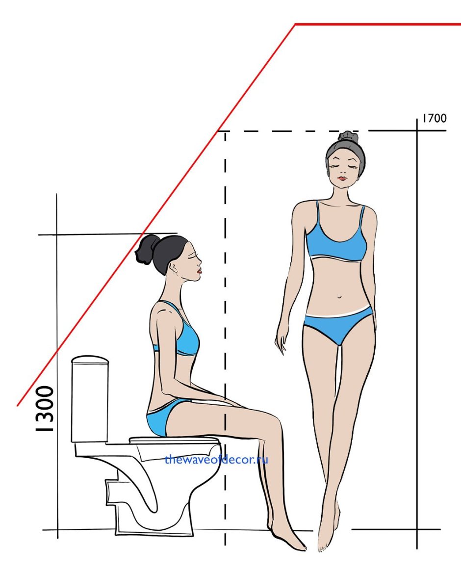 Эргономика санузла