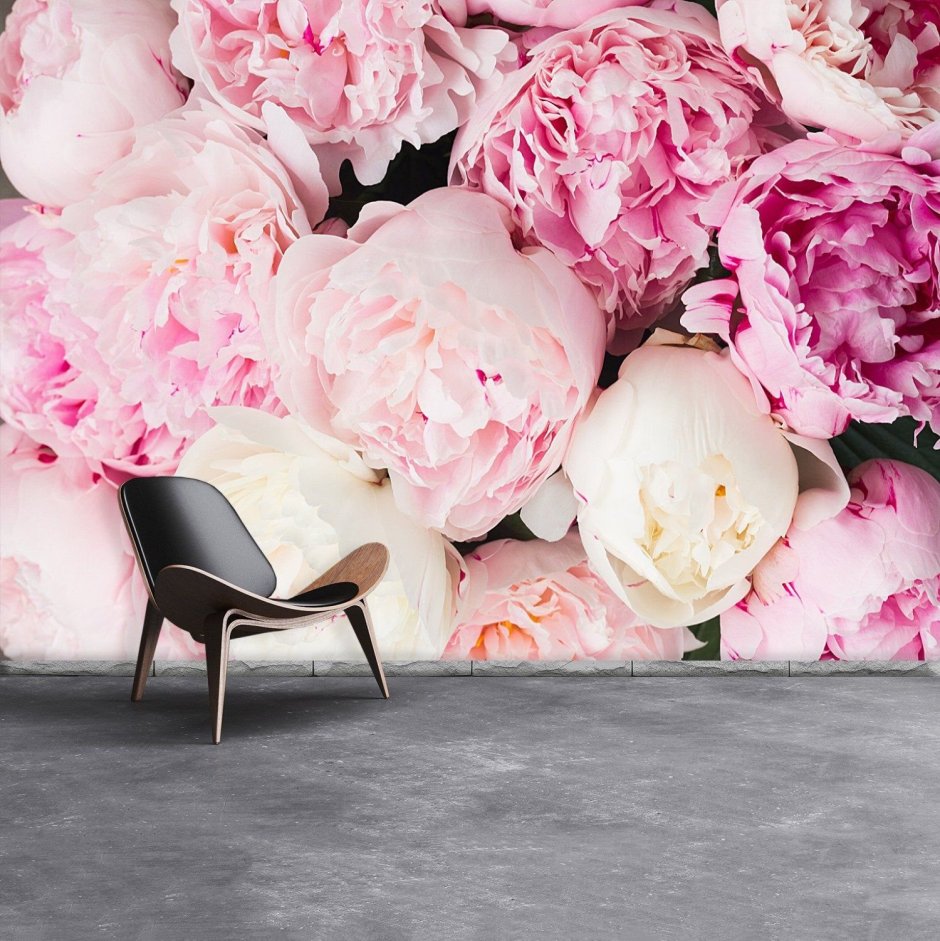 Стена из пионов