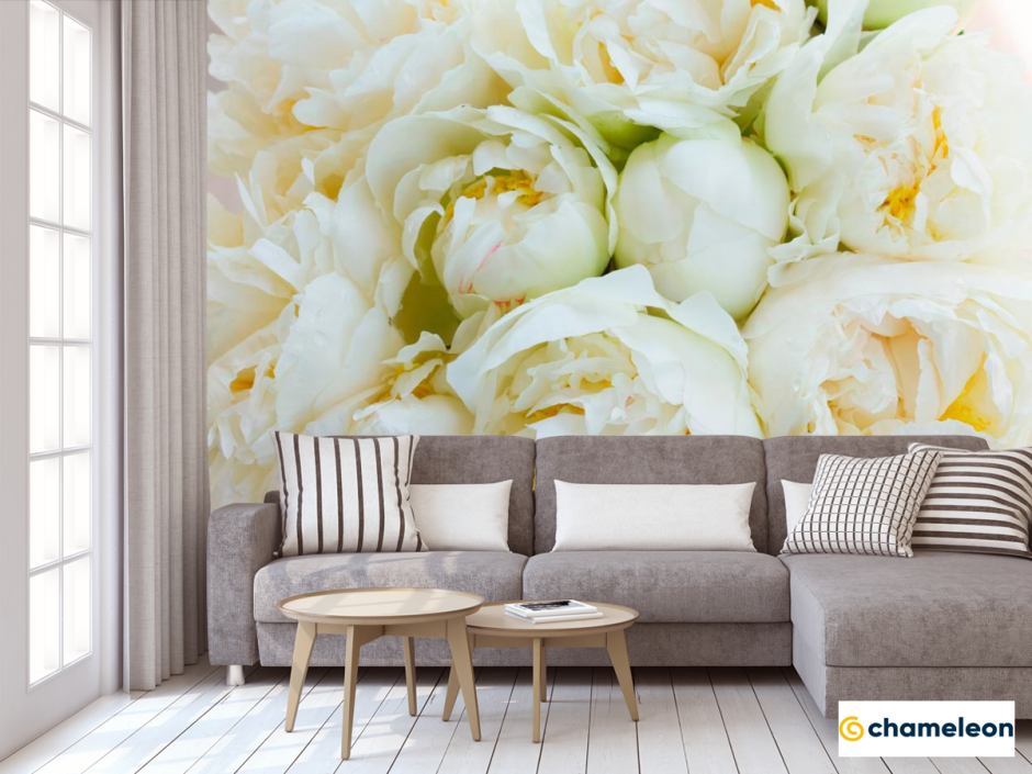 Фотообои розовые пионы