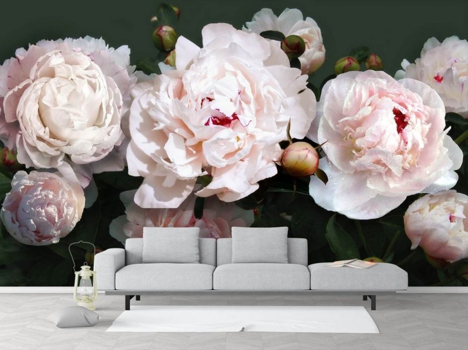 Фотообои белые пионы