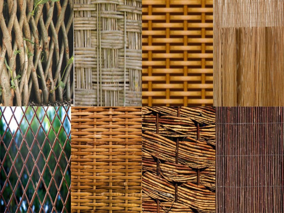 Стена из лозы