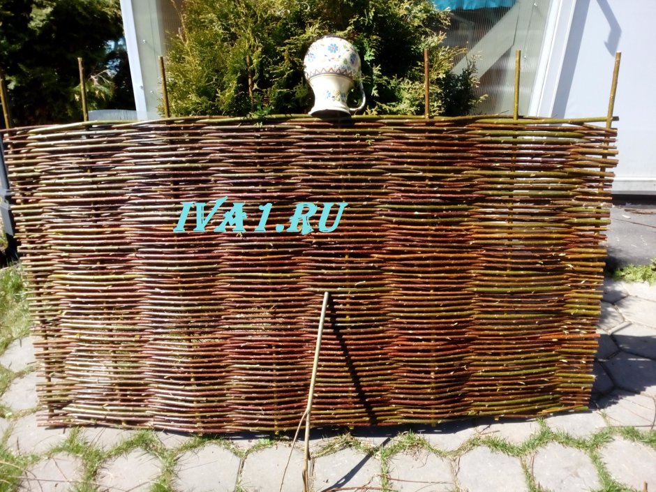 Плетеная лоза изгородь