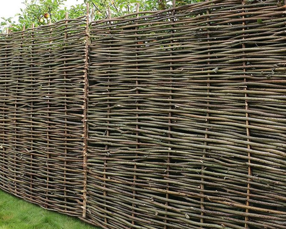 Плетеная Живая изгородь Ива