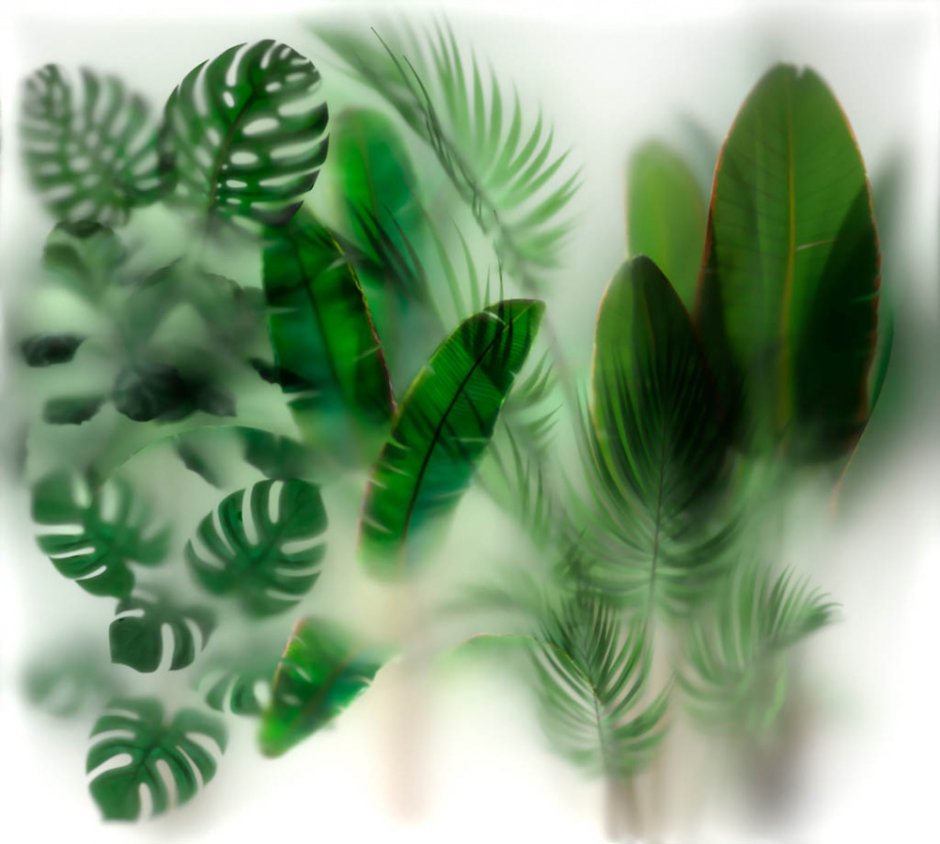 Зелень за матовым стеклом