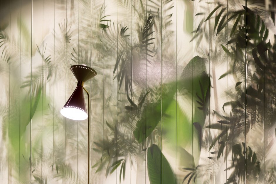 Растения за стеклом текстура