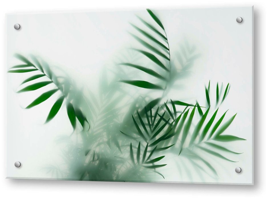 Имитация растений за матовым стеклом