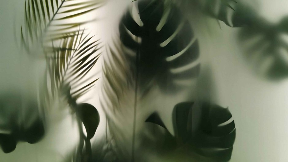 Листья за матовым стеклом