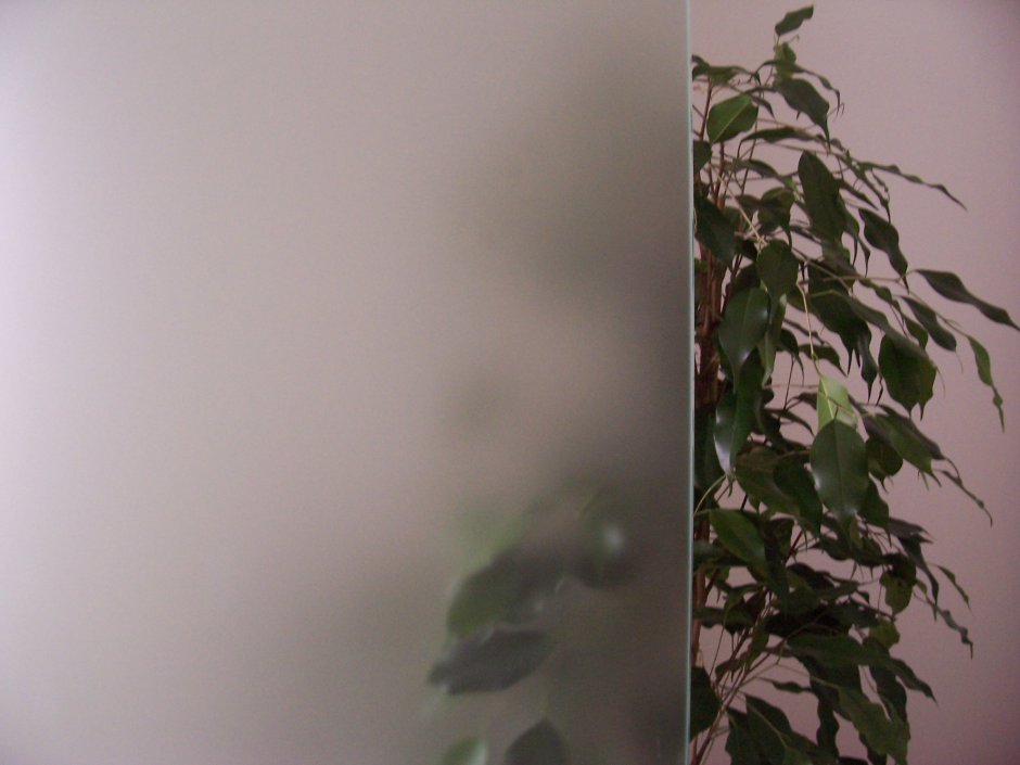 Шкаф-купе Леонардо ШL-91