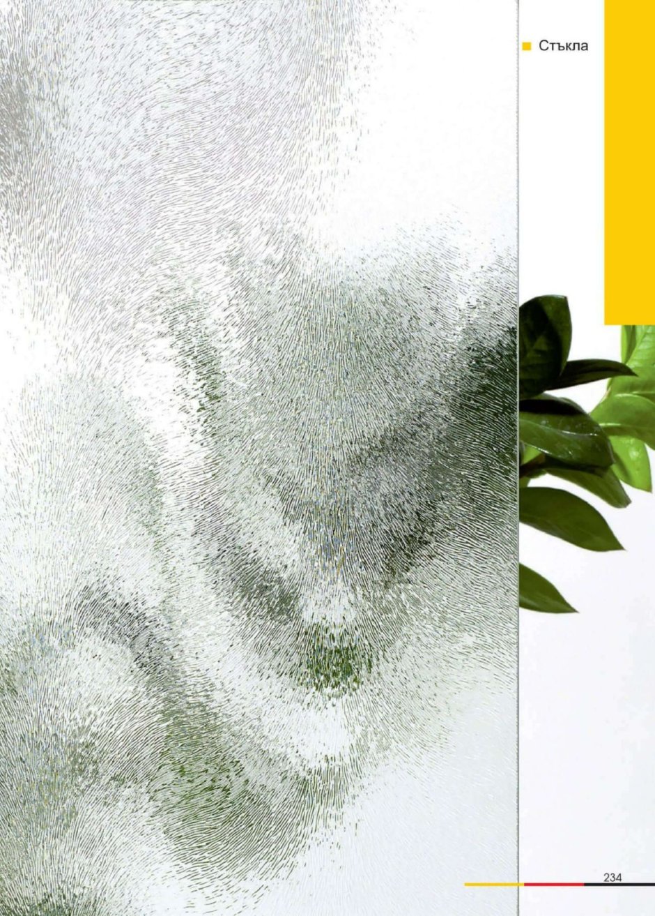 Стеклянная перегородка с растениями