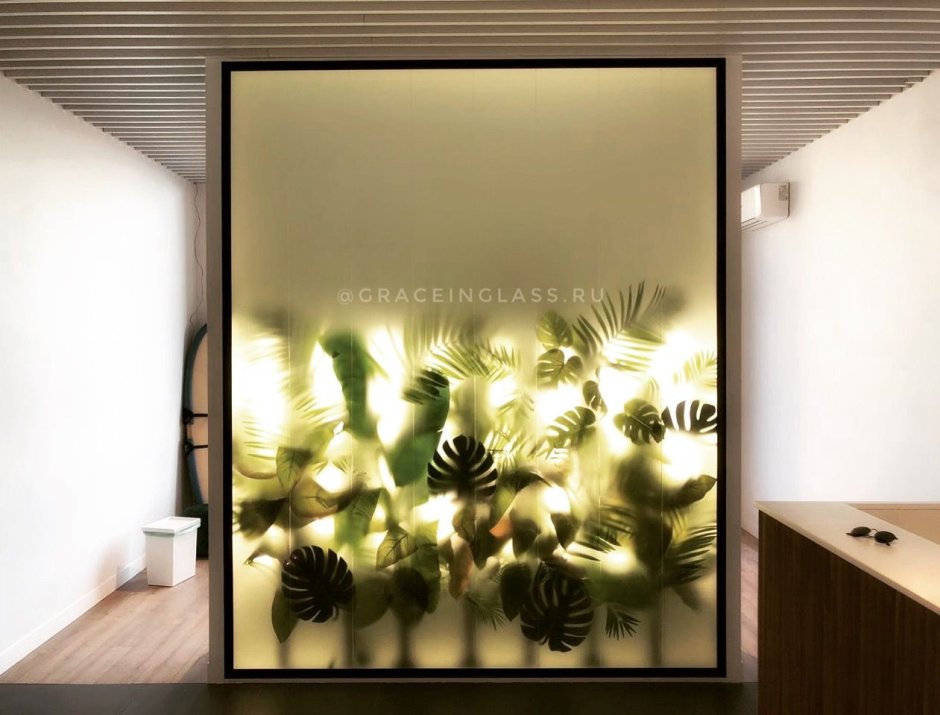Растения за матовым стеклом
