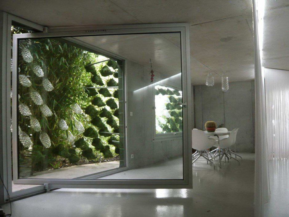 Стеклянная перегородка с растениями