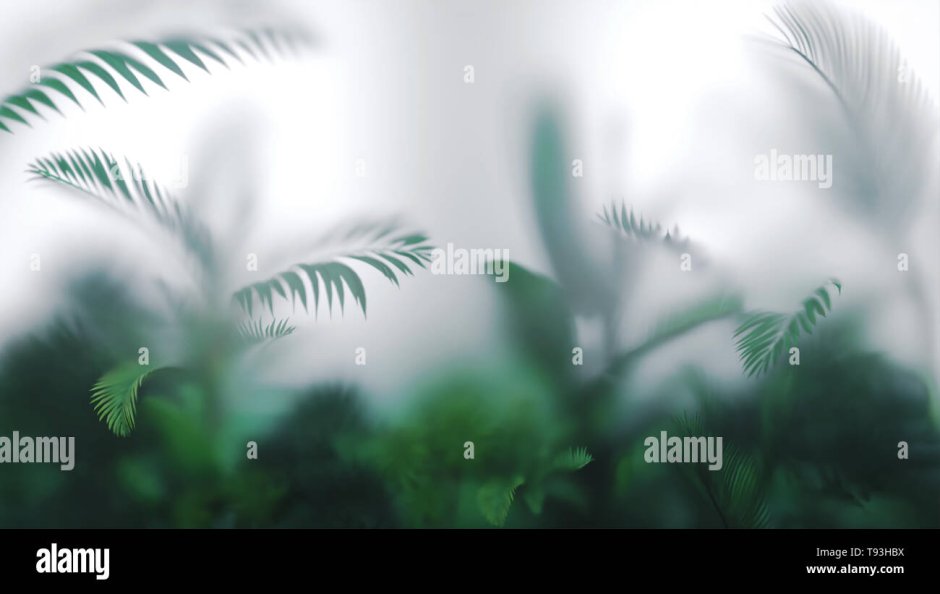 Растения за стеклом в интерьере