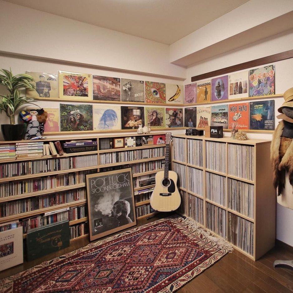 Тумба органайзер пластинки