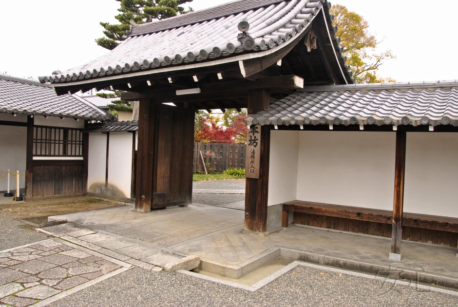 Сад в стиле Джапанди