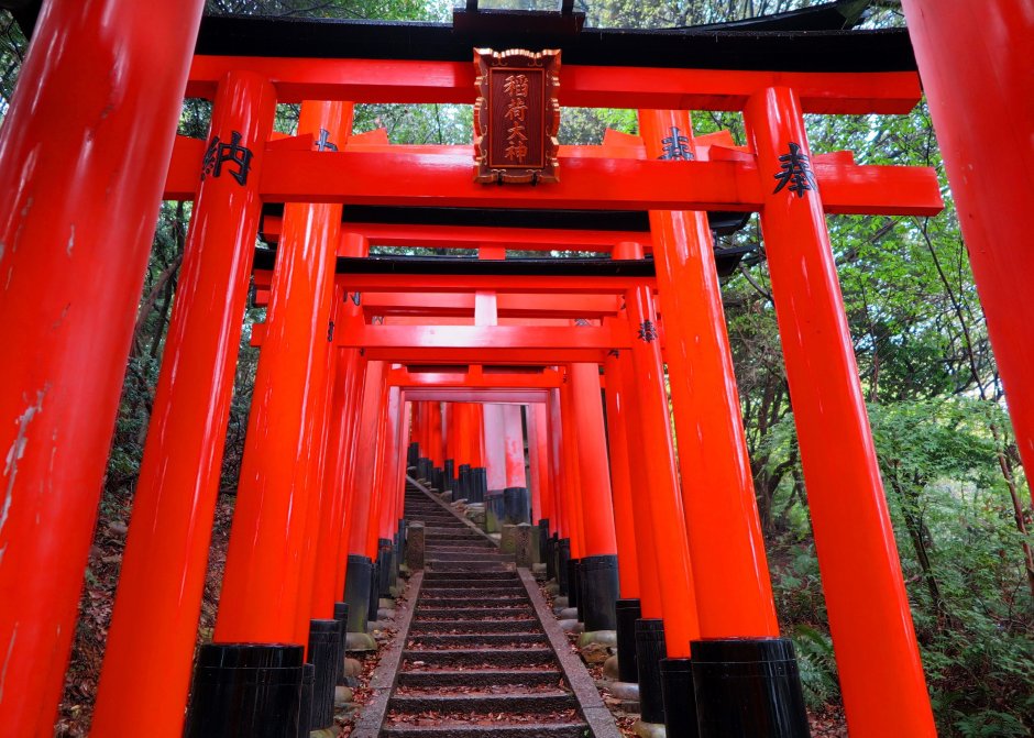 Арка пергола японская