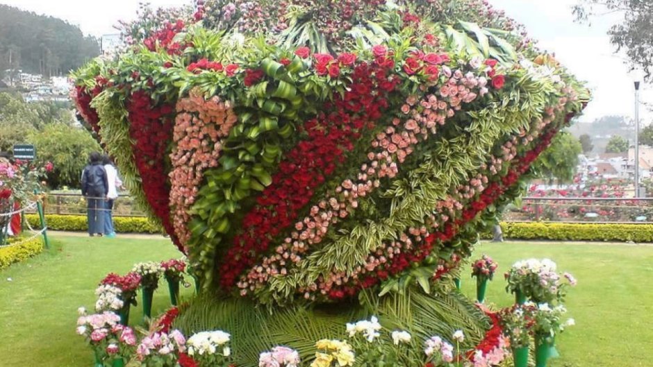 Хонаки гуллар