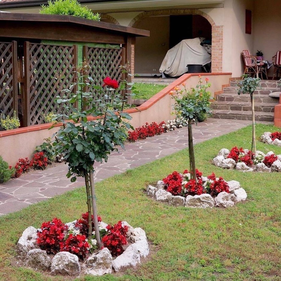 Приствольный круг яблони