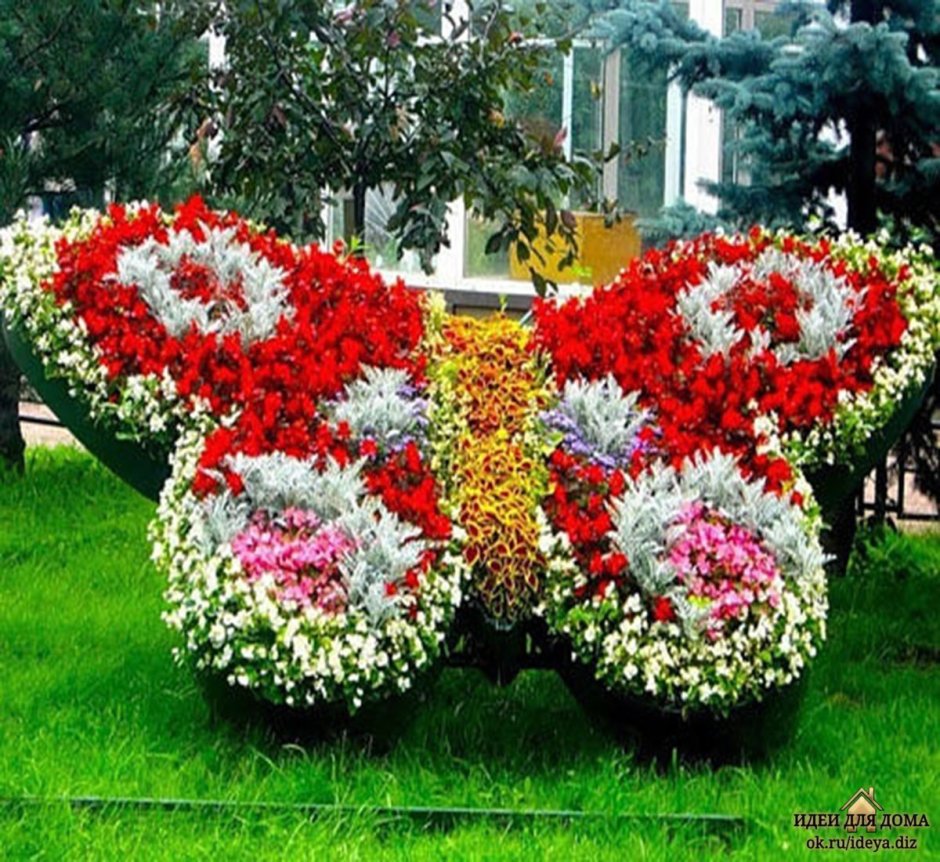 Клумба бабочка из цветов