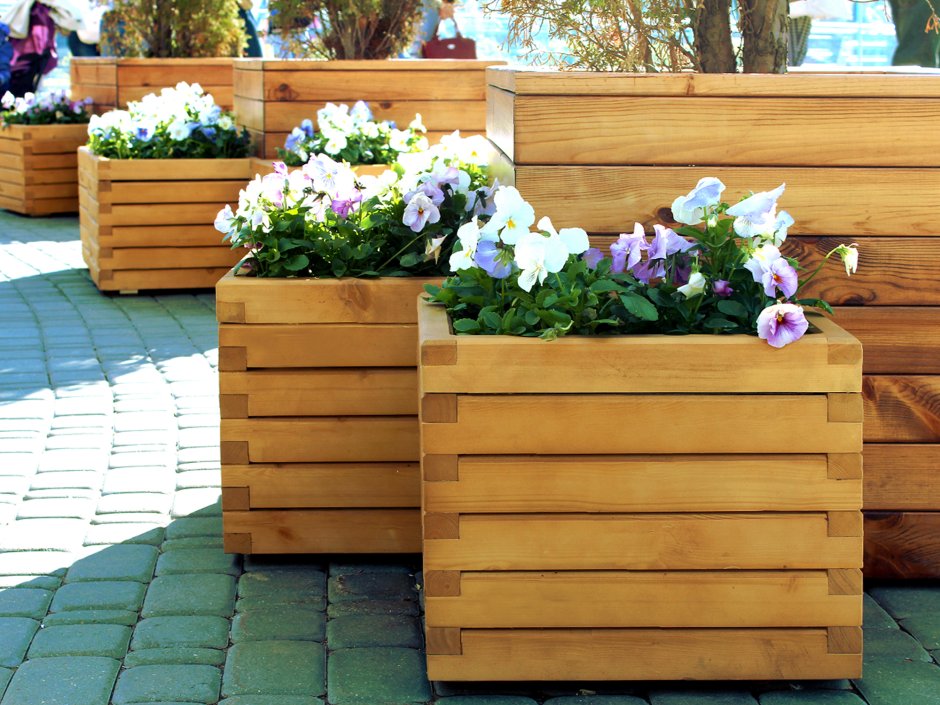 Оригинальные цветочные клумбы