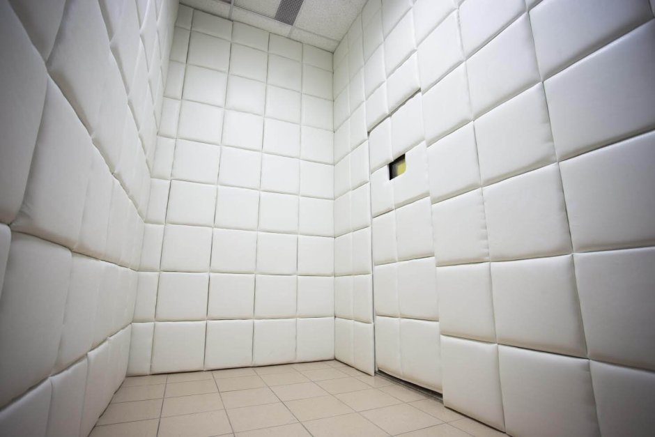 Мягкие стены в психушке