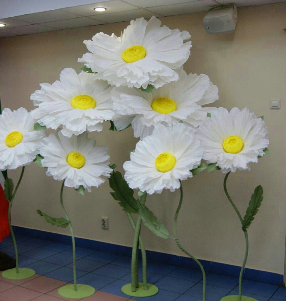 Объемные ромашки