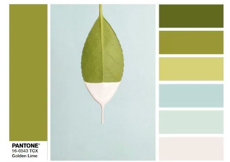 Цвет фисташка пантон