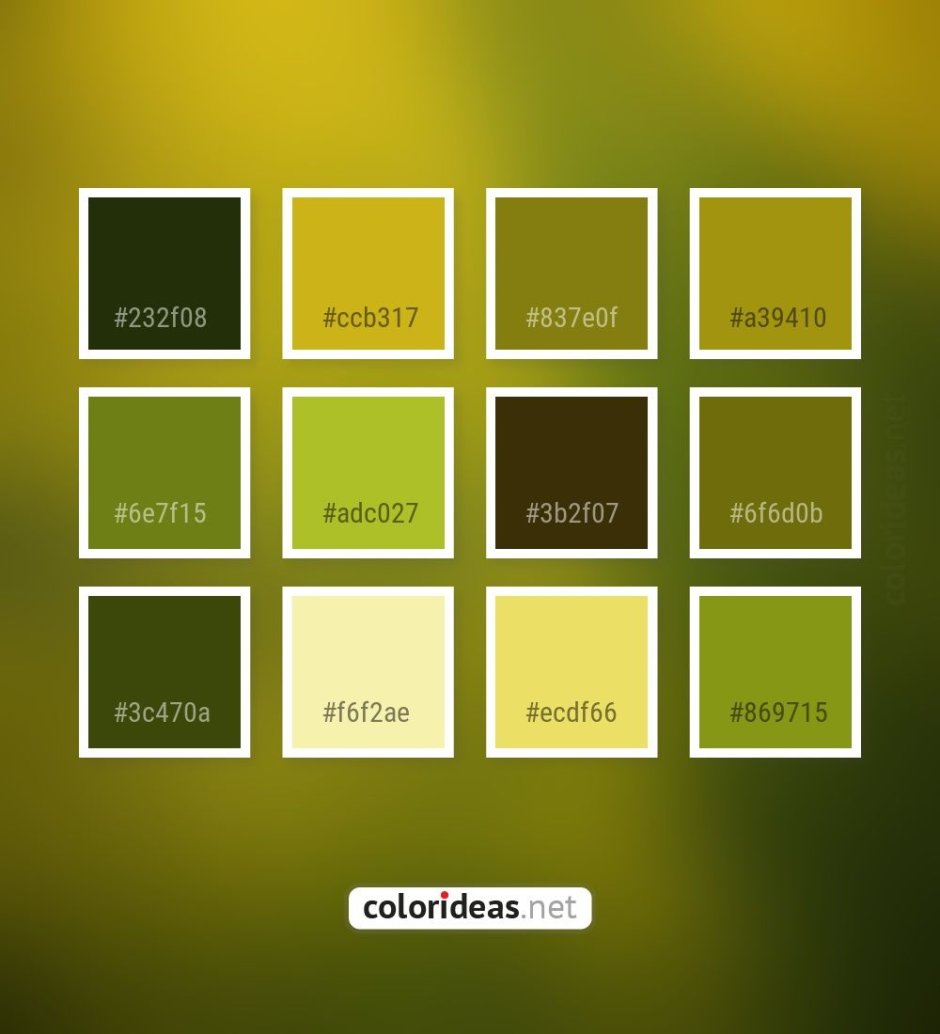 Оливковый цвет номер