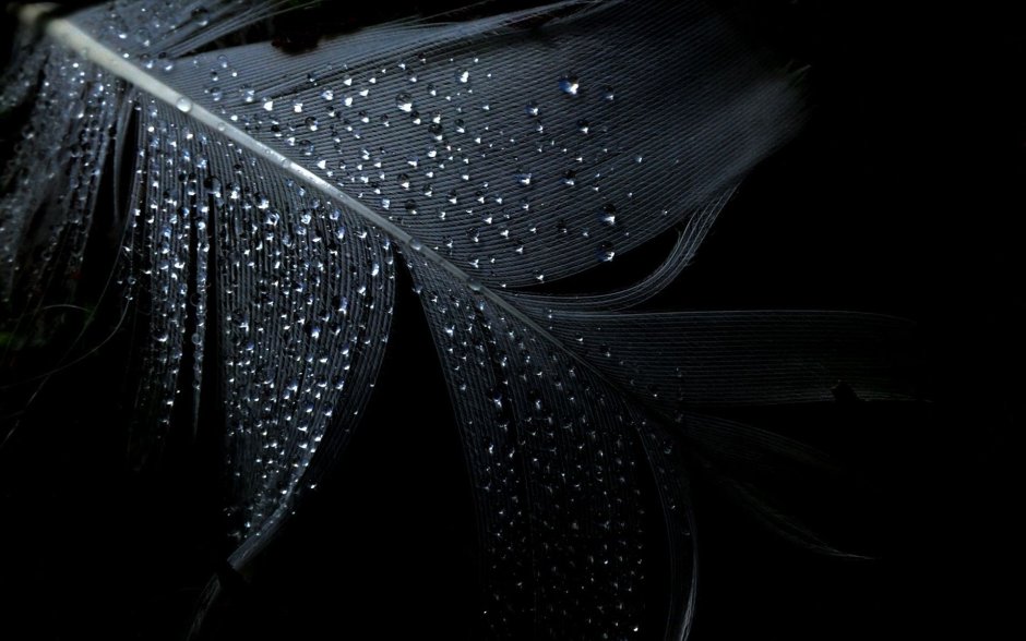 Красивые чёрные обои