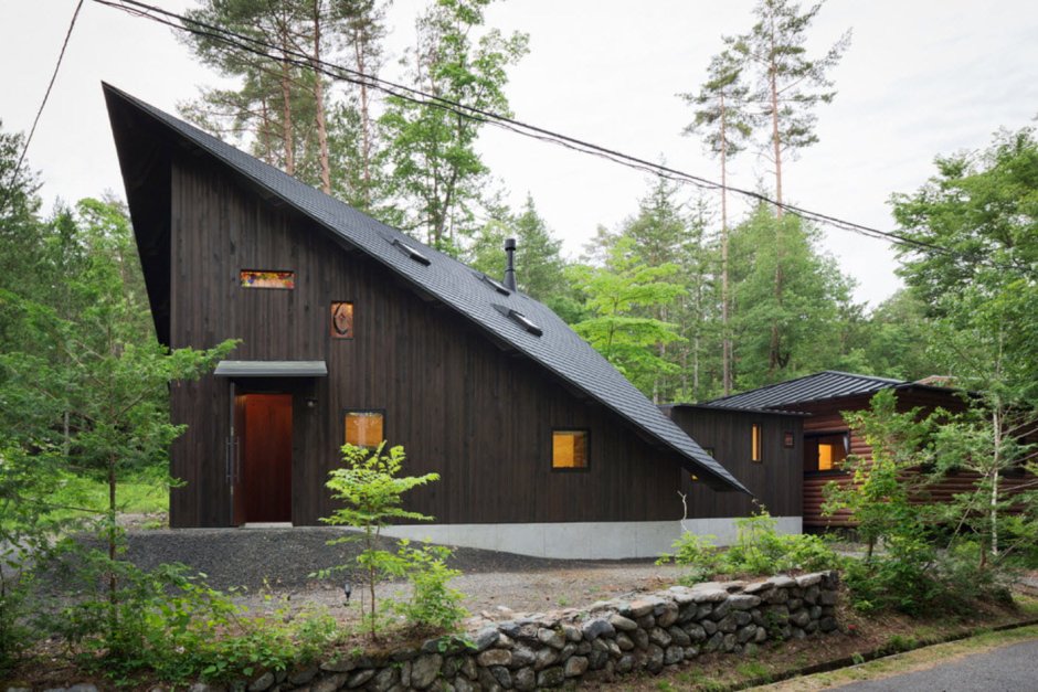 Необычный дом с односкатной крышей