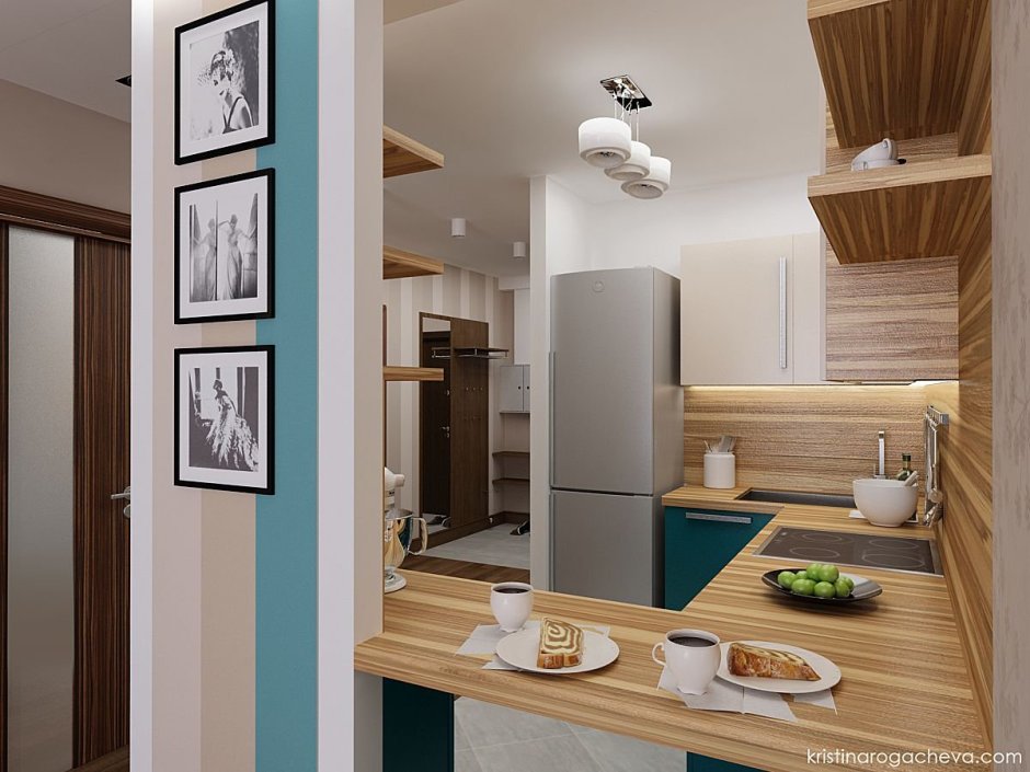 Кухня совмещенная с прихожей