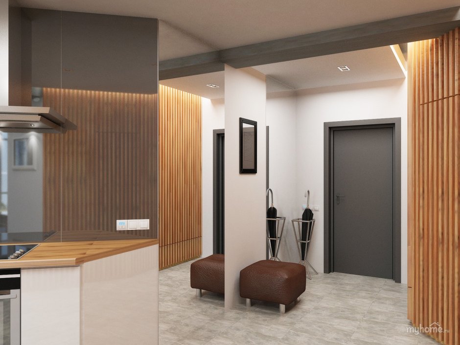 Кухня гостиная коридор в одном пространстве