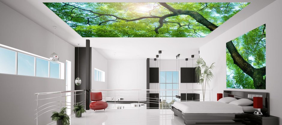 Фотопечать на потолке в интерьере