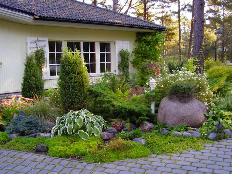 Озеленение двора