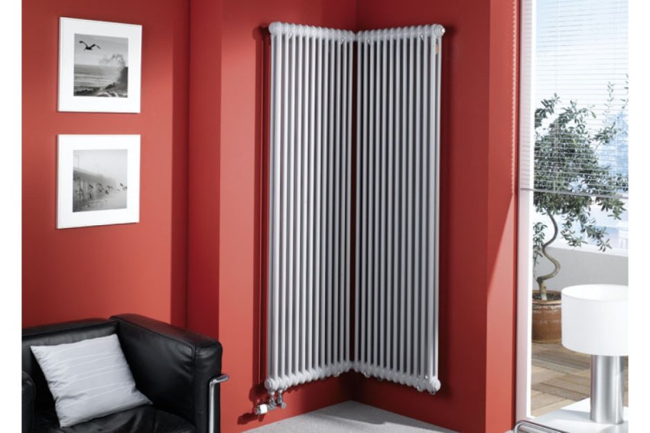 Вертикальные радиаторы Будерус