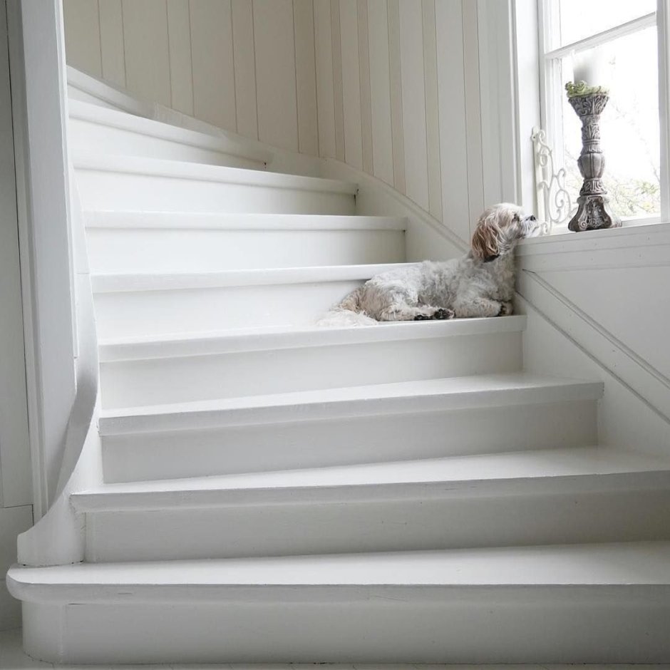 Белая бетонная лестница