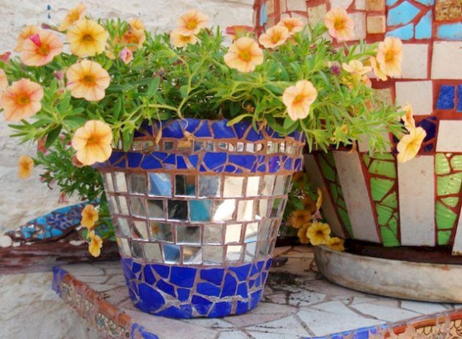 Вазон из пластмассового ведра