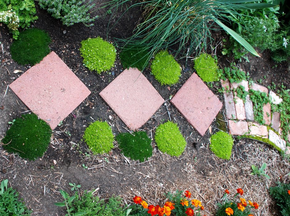 Дорожки на клумбе своими руками