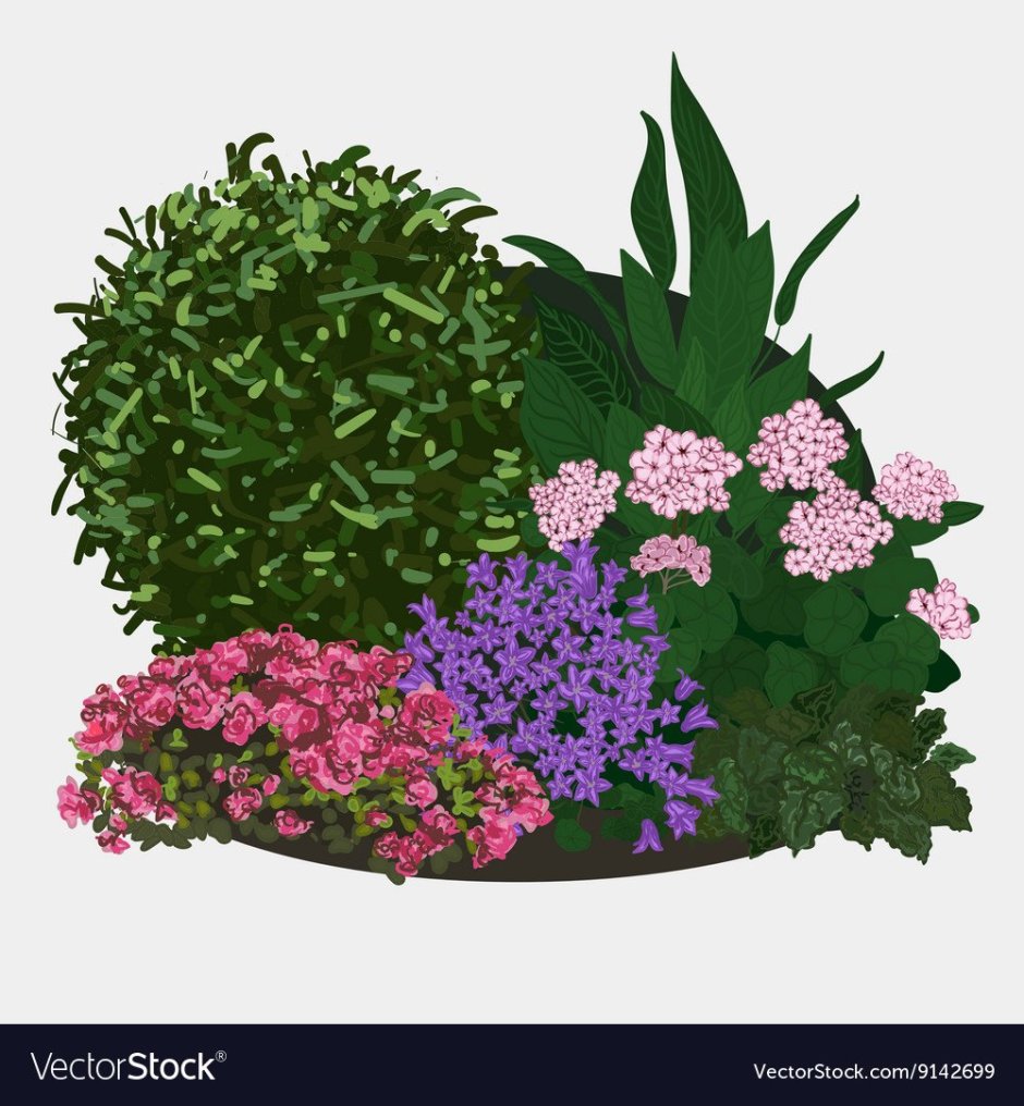 Клумба с цветами рисунок