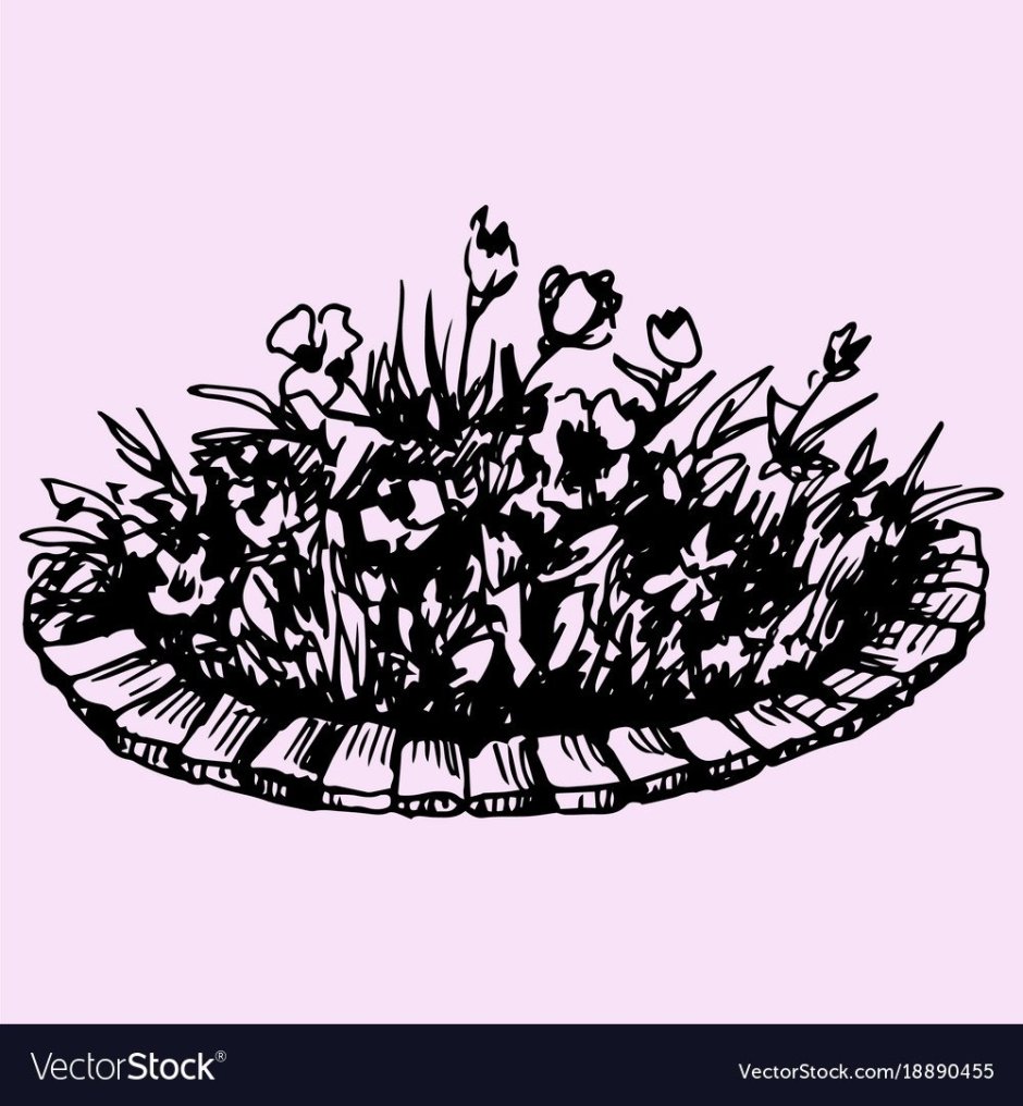 Клумба цветов рисунок