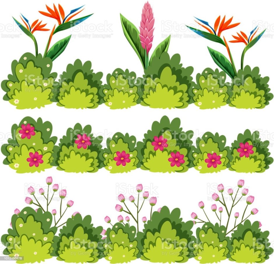 Клумба вектор